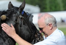 Inför V75: Hallsta Lotus dansar barfota igen barfota