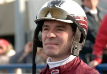 Inför EXTRA V75: Ludde släpper inte till CC ludhot