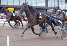 Inför EXTRA V75: Nurmos har prickat toppformen nurmextra