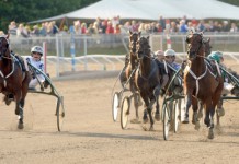 Inför EXTRA V75: Upplagt för ny Derbydubbel derbydubbel