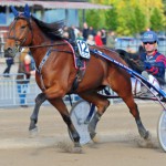 Inför V75: En utmanare i Elefantdansen edjo