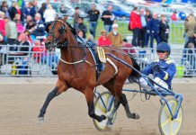Inför V75: Friction är bästa chansen! frifri