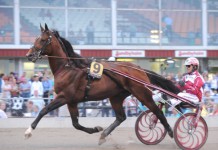 Inför EXTRA V75: Toppchans för Ludde kolle
