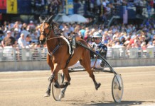 Inför V75: Åke spikar sig själv lindb