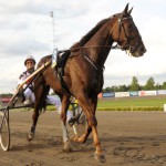 Inför EXTRA V75: Nästan omöjligt för Viola omojligtsilas