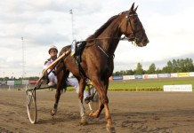 Inför EXTRA V75: Nästan omöjligt för Viola omojligtsilas