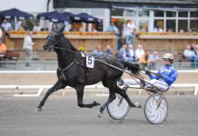 Inför EXTRA V75: Spännande Söndag för Daniel spansonddan