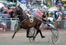 Inför V75: Han trivs på Jägersro Derbyhelgen trivsjagers