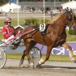 Inför V75: Drottning bland Kallbloden drooooning