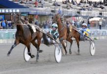 Inför Extra V75: Rejäl vinstchans oaks