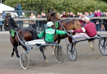 Svanstedts nya stjärna dominerade svanstardom