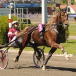 Inför V75: Kungen blir svårstoppad på Åby travsvarstopp