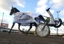 Inför V75: Elitlärlingarnas sista SM elitlarlingar