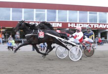 Inför V75: Charmig knatte vägrar förlora knatte