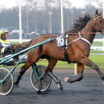 Maharajah på Solvalla mahavallasol