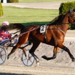 Inför V75: Sjöströms King kan bli Kung sjokingkung