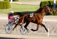 Inför V75: Sjöströms King kan bli Kung sjokingkung