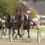 Inför V75: Nytt miljonregn med Youpie yuiuouiopie