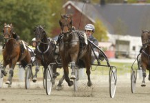 Inför V75: Nytt miljonregn med Youpie yuiuouiopie