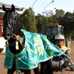 Inför V75: Jockey vässar favoriten bronsfaaaaaaavvvo