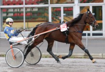 Inför V75: Drömmen om en V75-seger drommen