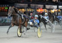 Inför V75: Jagar revansch i E3-revanschen e