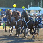 Inför V86: Ofta miljonvinster inforv