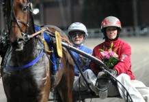 Inför V75: Miljonhästen är tillbaka på Solvalla miljonhasten