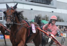 Inför V75: Intressant duo i miljonjakten miljonjaktenintre