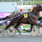 Inför V86: Osynat kort osynatkort