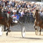 Inför V75: Bästa hästen i loppet? bastailoppet