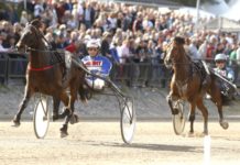 Inför V75: Bästa hästen i loppet? bastailoppet