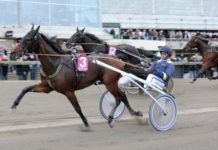 Inför V75: Extraspåret mot miljonerna extrasparet