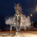 Inför V75: Quarcio tar nya tag inforquar