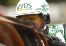 Inför V75: Tio chanser för Svanstedt svanchanser