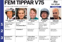 Fem tippar V75 Åby 18 januari 2014 fem tippar v