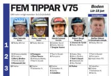 Fem tippar V75 – Boden 15 juni fem tippar v till boden