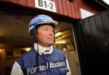 Inför V75: Lycka och olycka för Salmela lyckasalmela