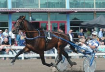 Inför EXTRA V75: Robertsson jagar årets andra V75-seger nicklasrob