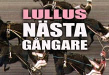 Nästagångare till V86 ikväll wpid NASTAGANGARE