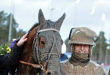 Resultat V75 2014-02-22: Lerig vinnare i Gävle Stora Pris bergh gavle