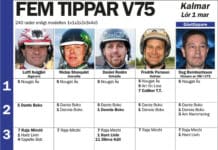 Fem tippar V75 på Kalmartravet 1 mars 2014 fem tippar v