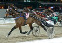 Inför V75 2014-02-08: Haugstad tror på skrällchans! haugstad v solvalla