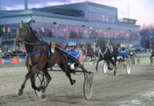 Inför V75 2014-03-01: Mikko hoppas han kan slå favoriten mikko aho v