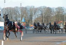 Resultat V75 2014-02-15: Norskt förvandlingsnummer! uppvisning