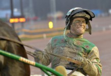 Inför V75 Momarken 22 mars 2014: Danskt på Norsk-Svenska festen dansk norsk trav