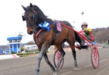 Resultat V75 Åby 15 mars 2014: Härlige Harry stal showen! harry haythrow