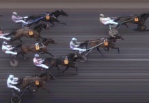 Resultat V75 Momarken 22 mars 2014: JACKPOT! momarken malfoto v