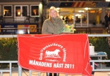 Inför V75 Färjestad 8 mars 2014: En chanslös häst? regina one v
