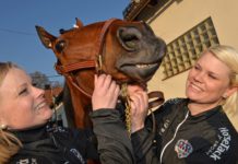 Resultat V75 Solvalla 29 mars: Sanity vann! sanity
